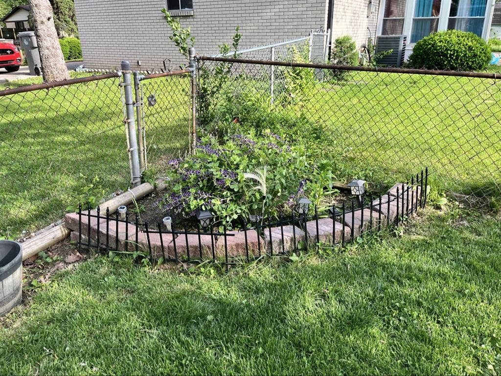 Looking for a roommate
