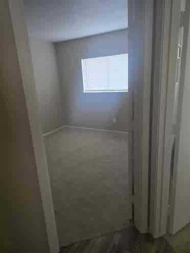 female seeking roommate
