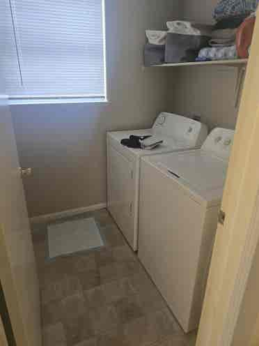 female seeking roommate