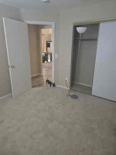 female seeking roommate