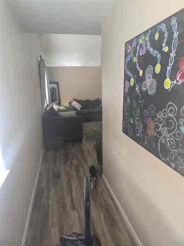 female seeking roommate