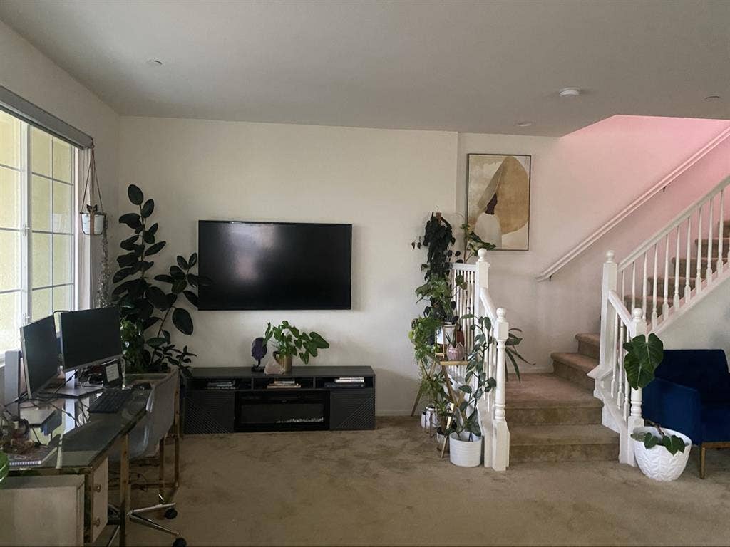Private room & bathroom $