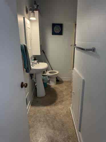 Female roommate wanted!