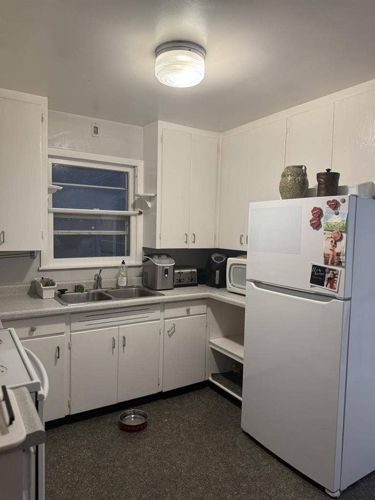 Female roommate wanted!