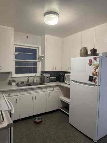 Female roommate wanted!