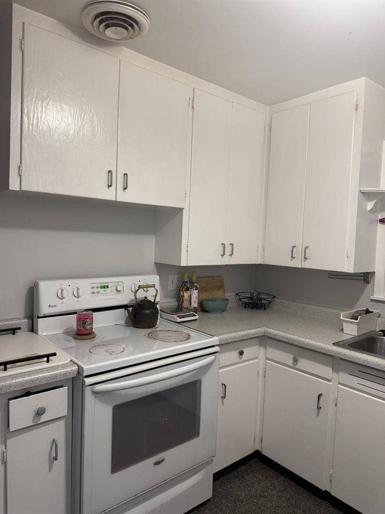 Female roommate wanted!