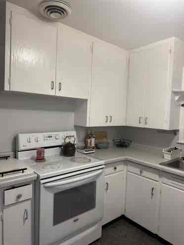 Female roommate wanted!