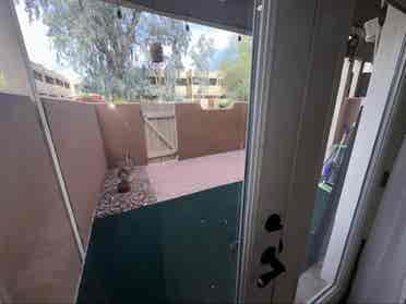 Room available in PHX home