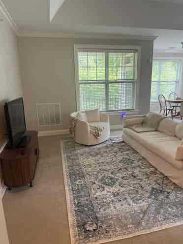 Female roommate wanted!