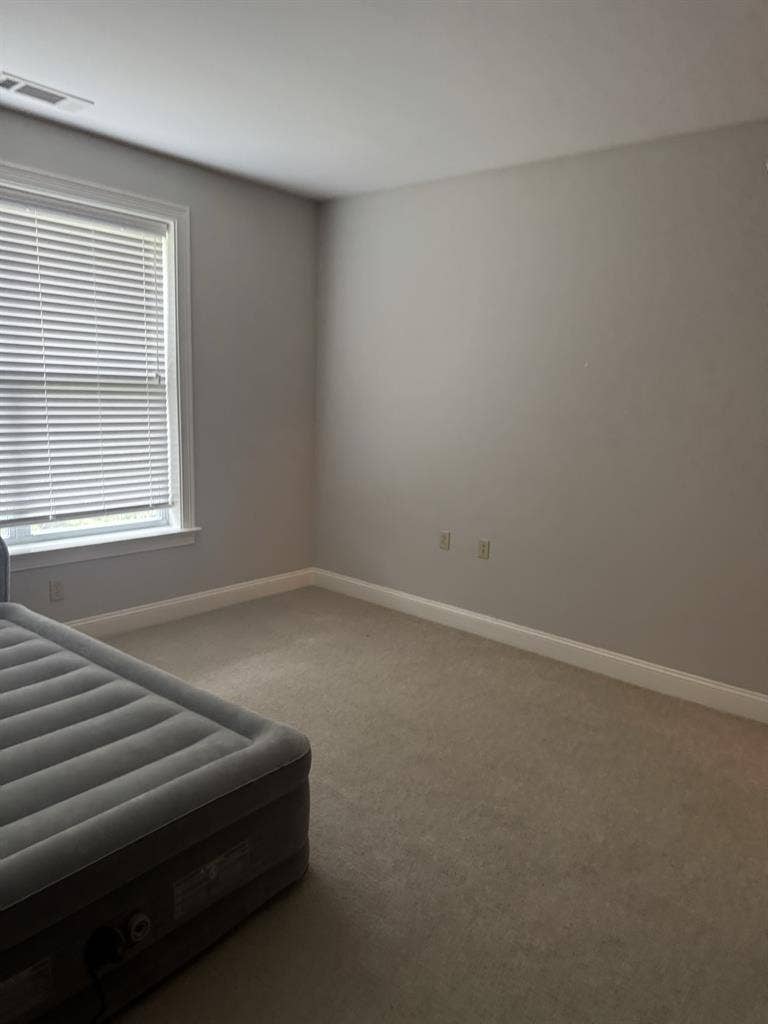 Female roommate wanted!