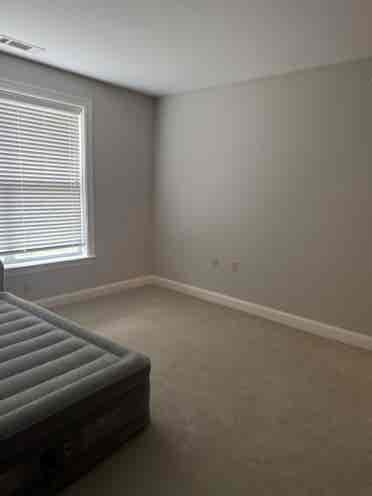 Female roommate wanted!