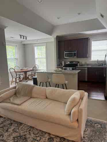 Female roommate wanted!