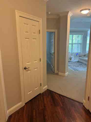 Female roommate wanted!