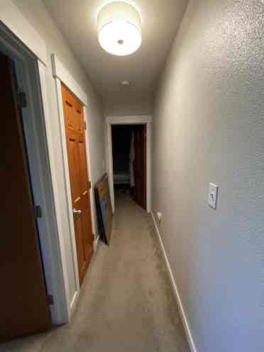 City Park Room for Rent
