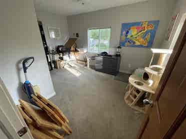 City Park Room for Rent