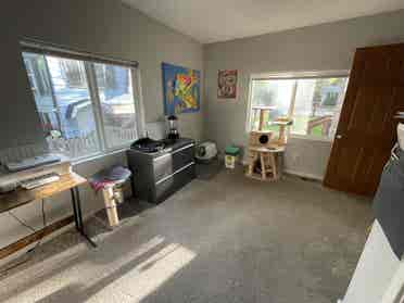 City Park Room for Rent