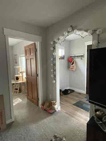 City Park Room for Rent
