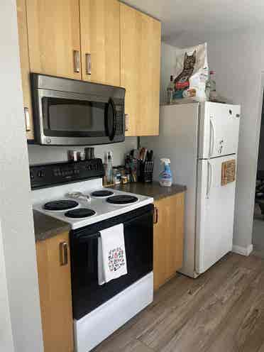 City Park Room for Rent