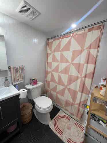 Bath Apt in Greenpoint