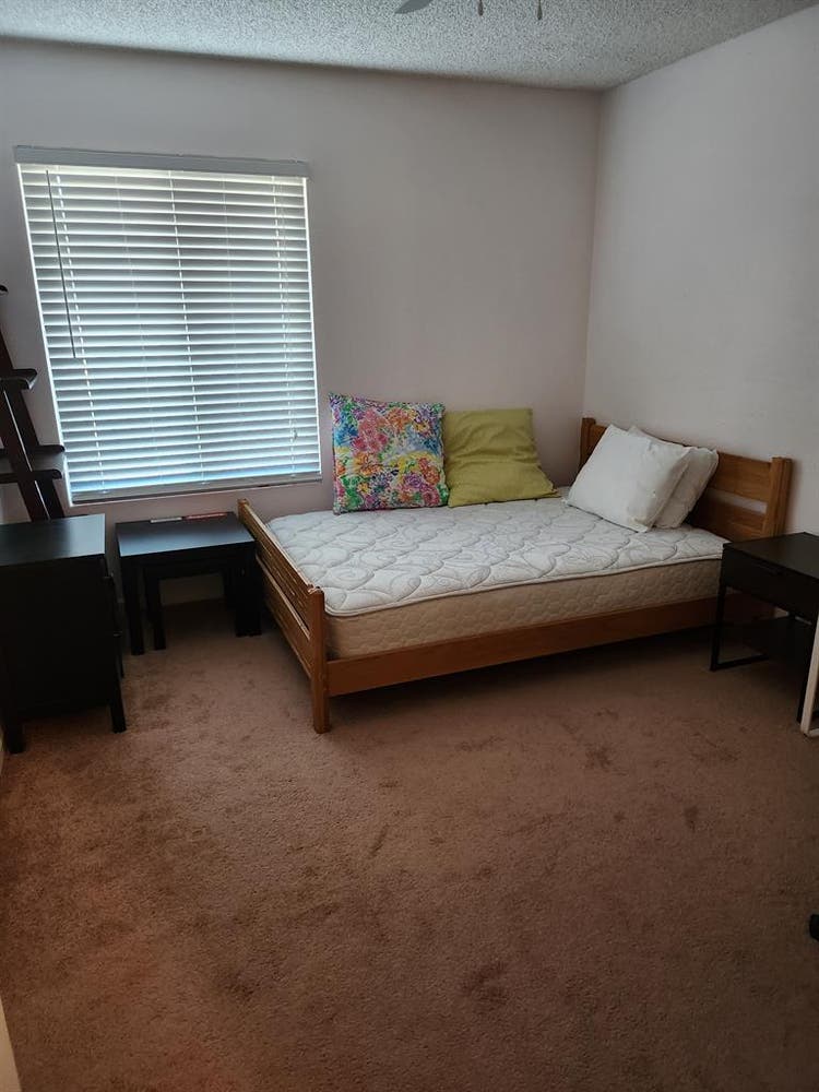 One  room for rent