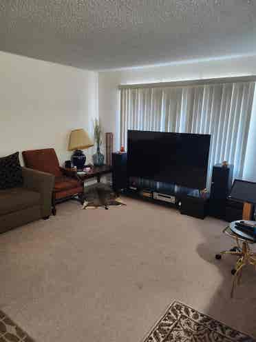 One  room for rent