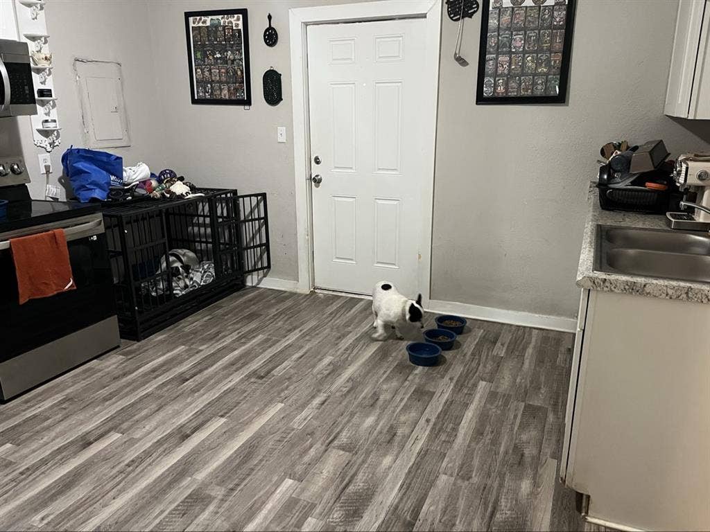 Room for rent