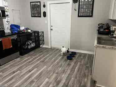 Room for rent