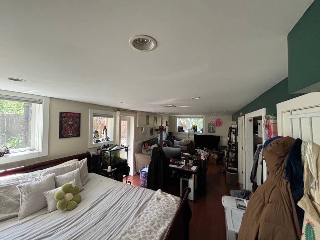 Looking for a new roommate!