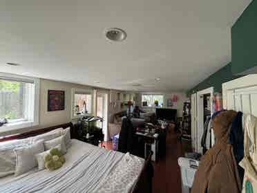 Looking for a new roommate!