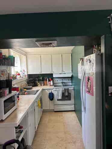 Looking for a new roommate!