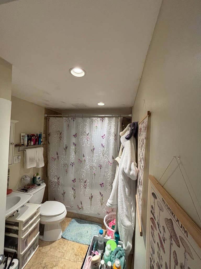 Looking for a new roommate!