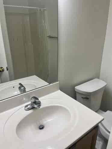 Looking for Raleigh Roommate ASAP