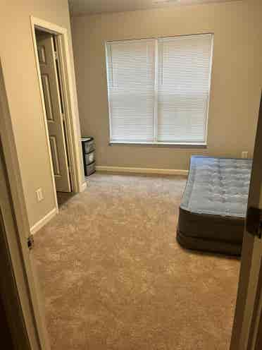 Looking for Raleigh Roommate ASAP