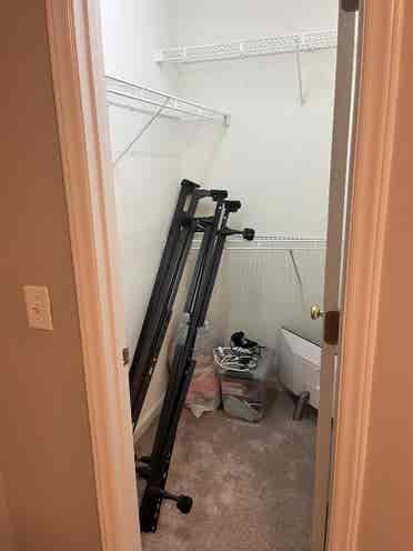 Looking for Raleigh Roommate ASAP