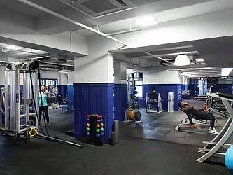 Spacious Room Available Aug 1st