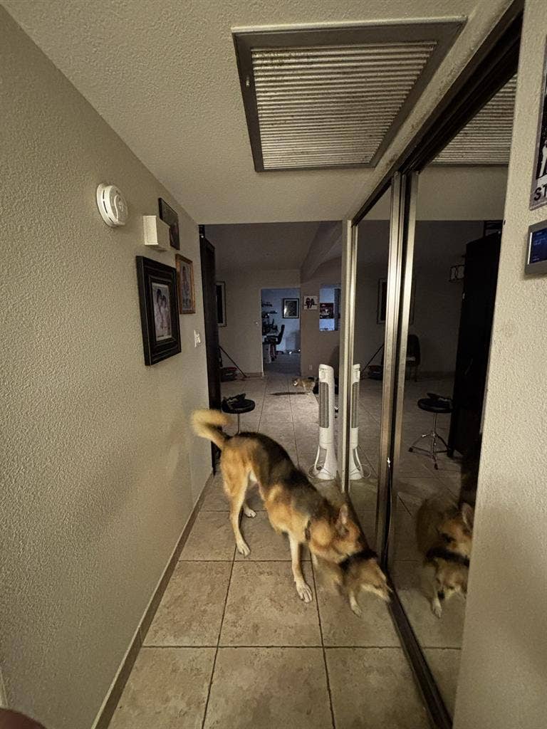 2 ROOMS FOR RENT: ROOMMATES WANTED