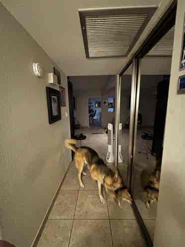 2 ROOMS FOR RENT: ROOMMATES WANTED