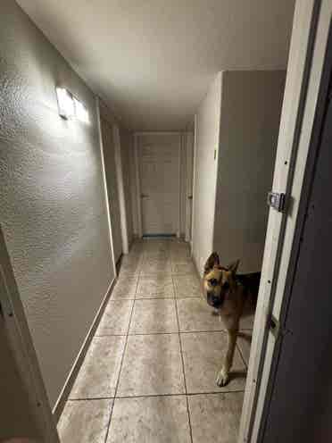 2 ROOMS FOR RENT: ROOMMATES WANTED