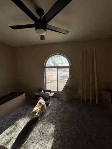 2 ROOMS FOR RENT: ROOMMATES WANTED