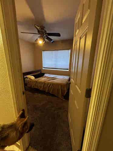 2 ROOMS FOR RENT: ROOMMATES WANTED