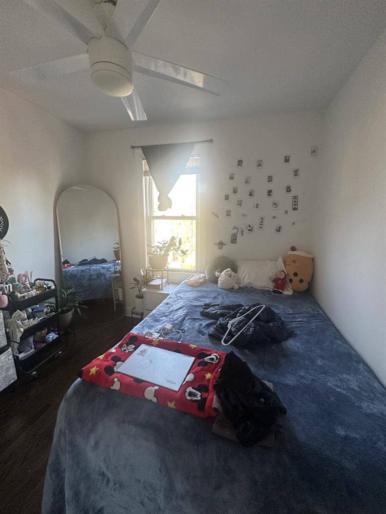 LINCOLN PARK ROOM