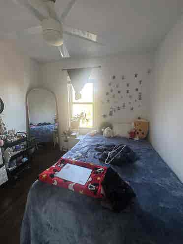 LINCOLN PARK ROOM