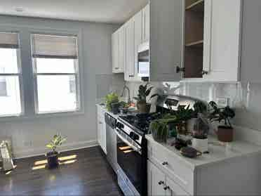 LINCOLN PARK ROOM