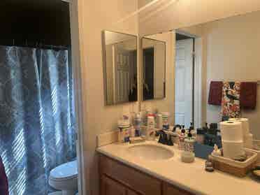1 bedroom rental in our house.