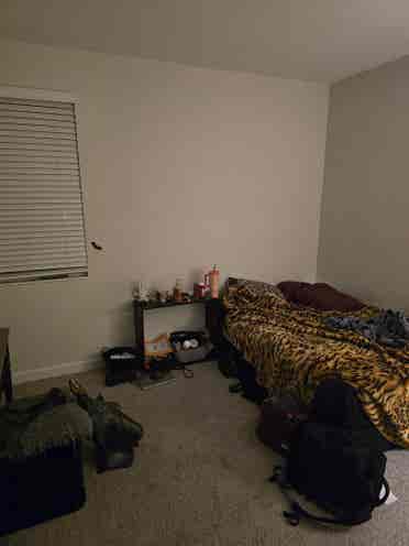 Roommate for August 1st Move In