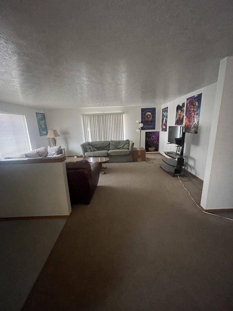 Looking to fill two vacant rooms!