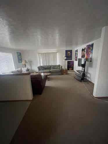 Looking to fill two vacant rooms!