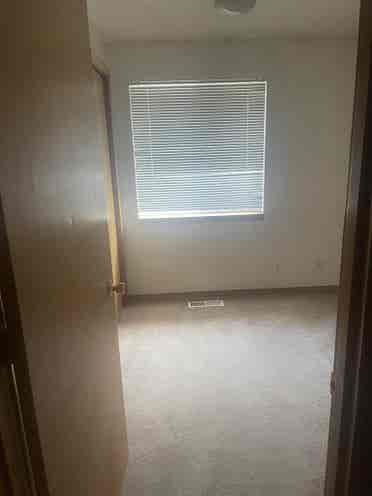 Looking to fill two vacant rooms!