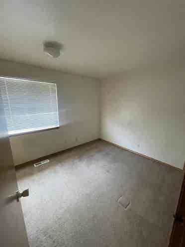 Looking to fill two vacant rooms!
