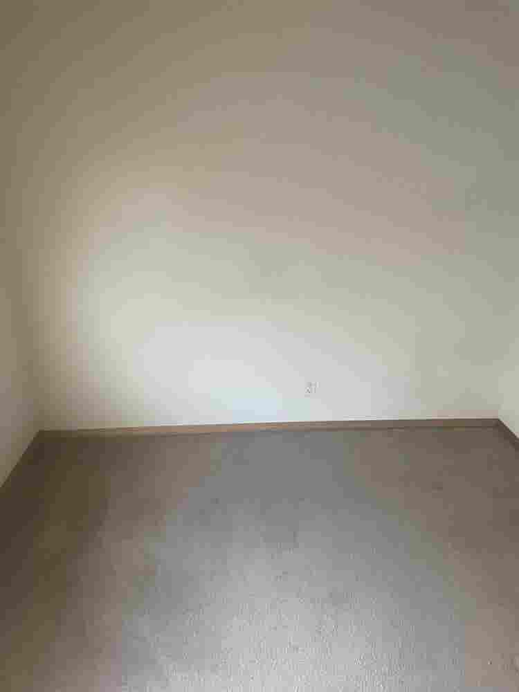 Looking to fill two vacant rooms!